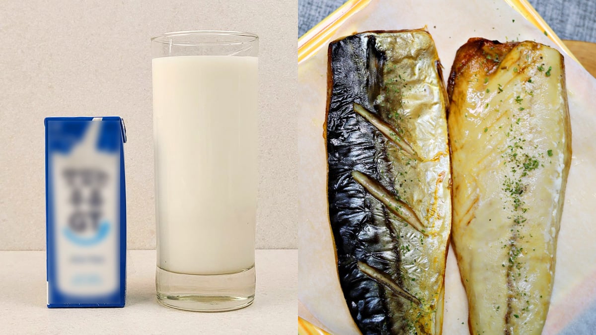 우유와 고등어 우유와 고등어