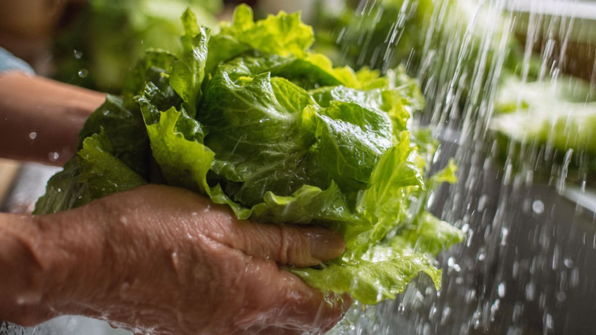 “그냥 물만 마셨다간”… 생각보다 위험한 ‘여름 탈수’ 막는 수분 가득한 음식