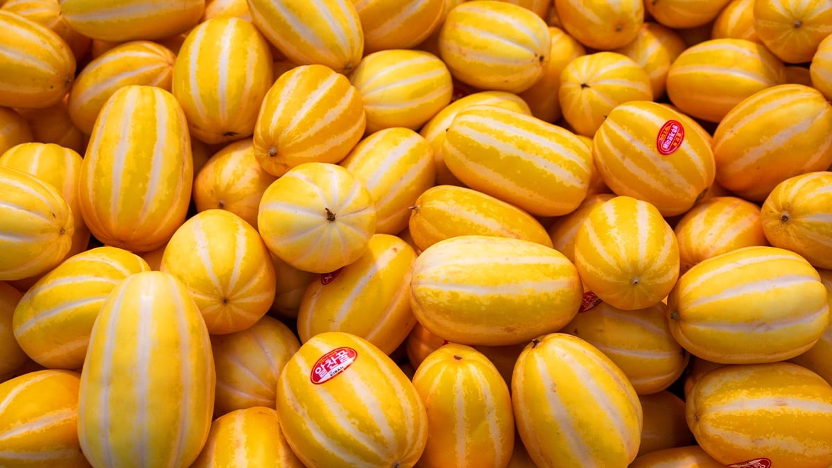 국산 참외에 들어있는 기능성 성분 가바(GABA)