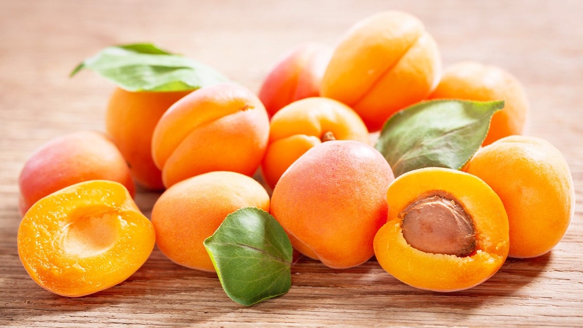 살구의 아미그달린 성분 주의