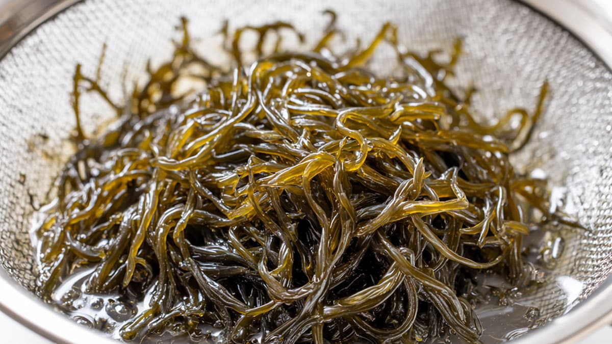 “배부른데 살빠지는 바다 국수”… 알고 보니 다이어트 식단의 숨은 강자