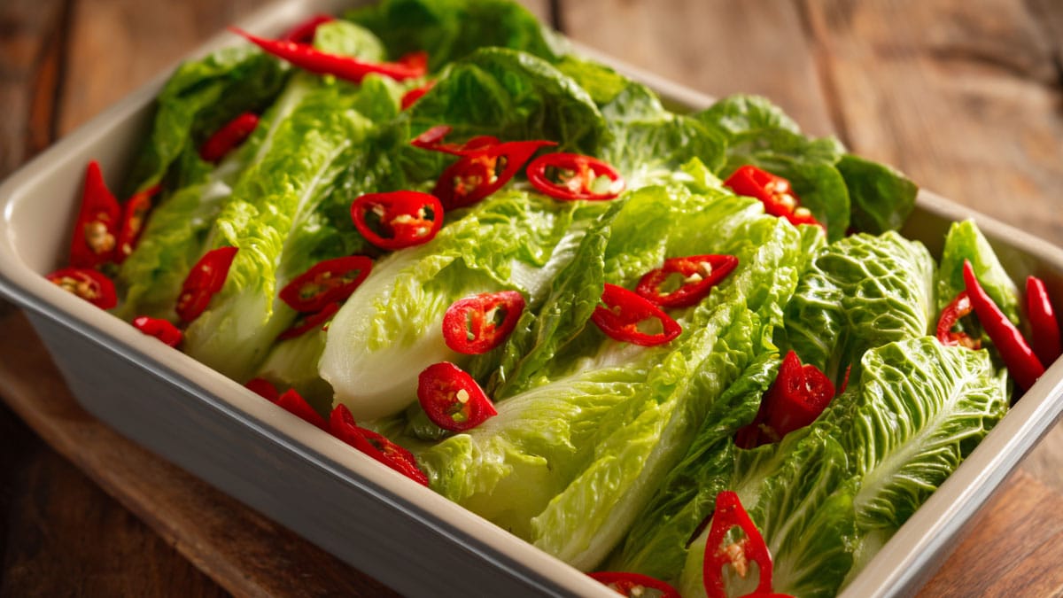 상추 고추 상추 고추