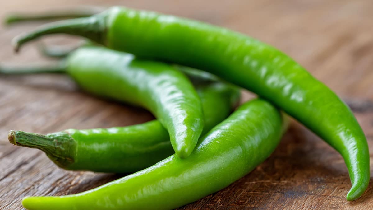 당조고추 당조고추