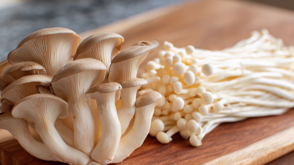 느타리버섯과 팽이버섯