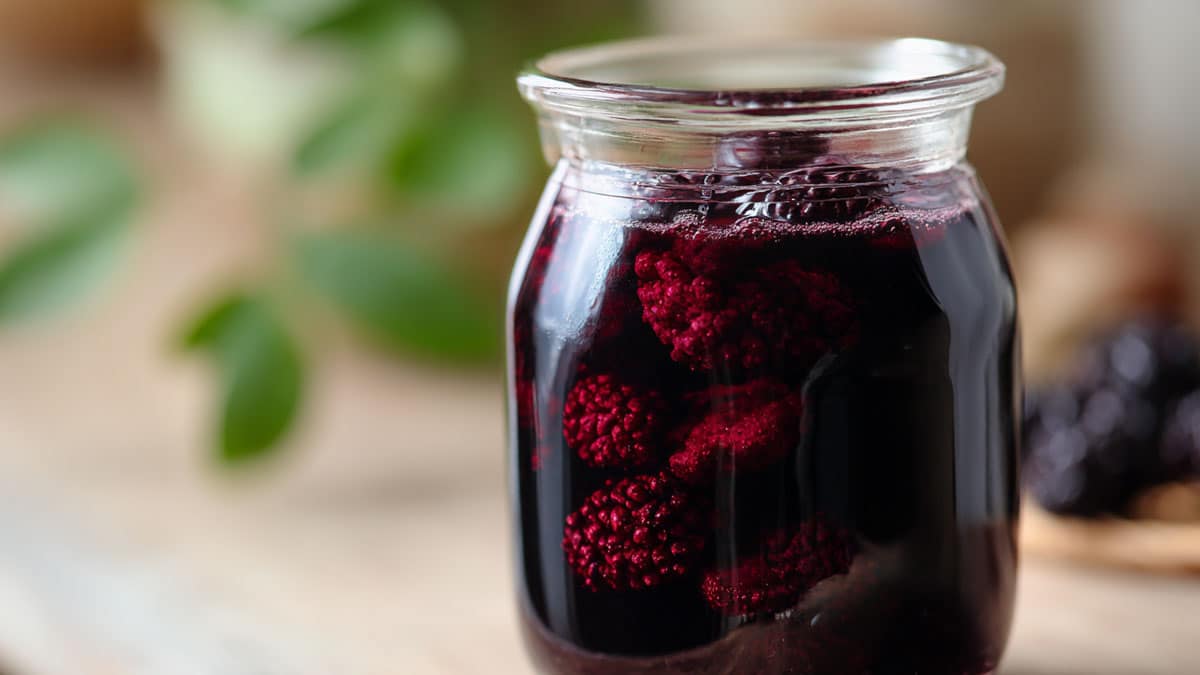 오디 청 오디 청