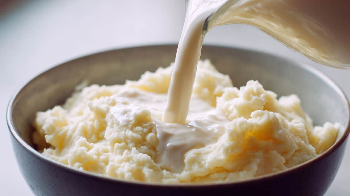 감자 우유 감자 우유