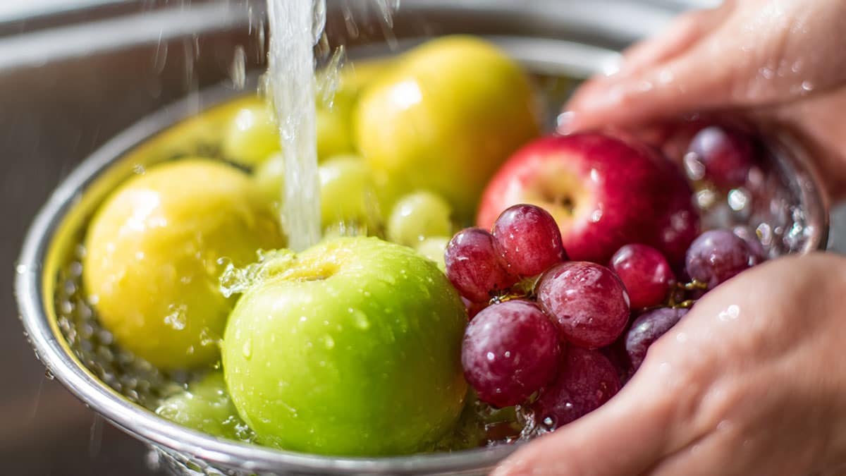 과일 세척 과일 세척