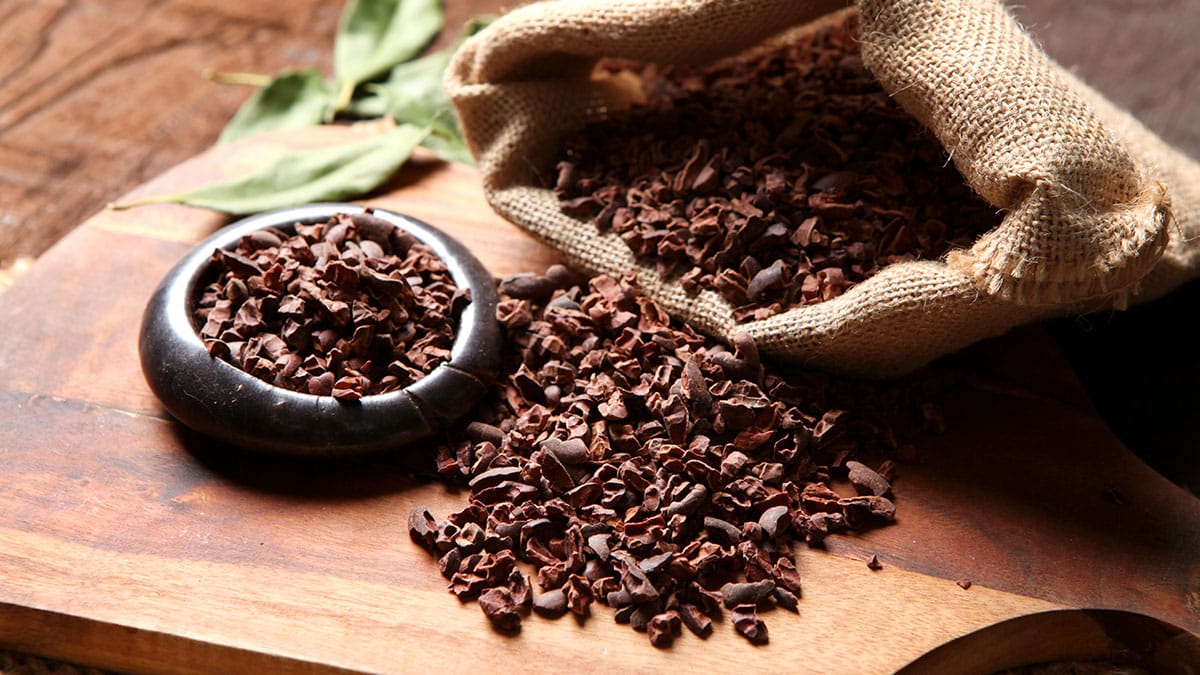 카카오닙스 카카오닙스