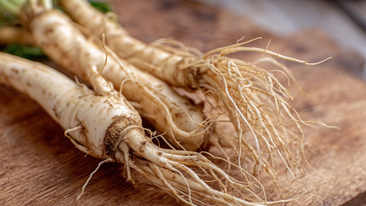 “여름 도라지는 인삼 안 부럽다” 기침부터 면역, 장 건강까지 ‘올인원 케어’ 비결