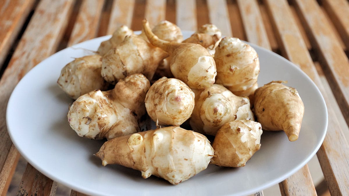 돼지감자 돼지감자