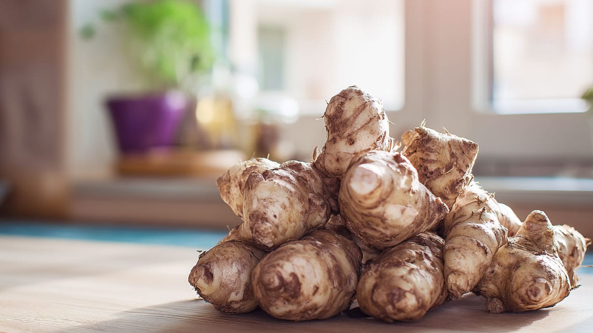 돼지감자 돼지감자