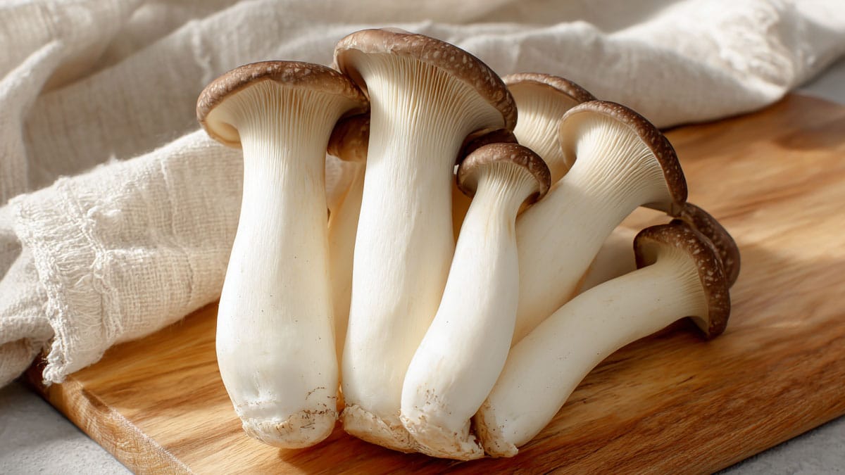 새송이버섯 새송이버섯