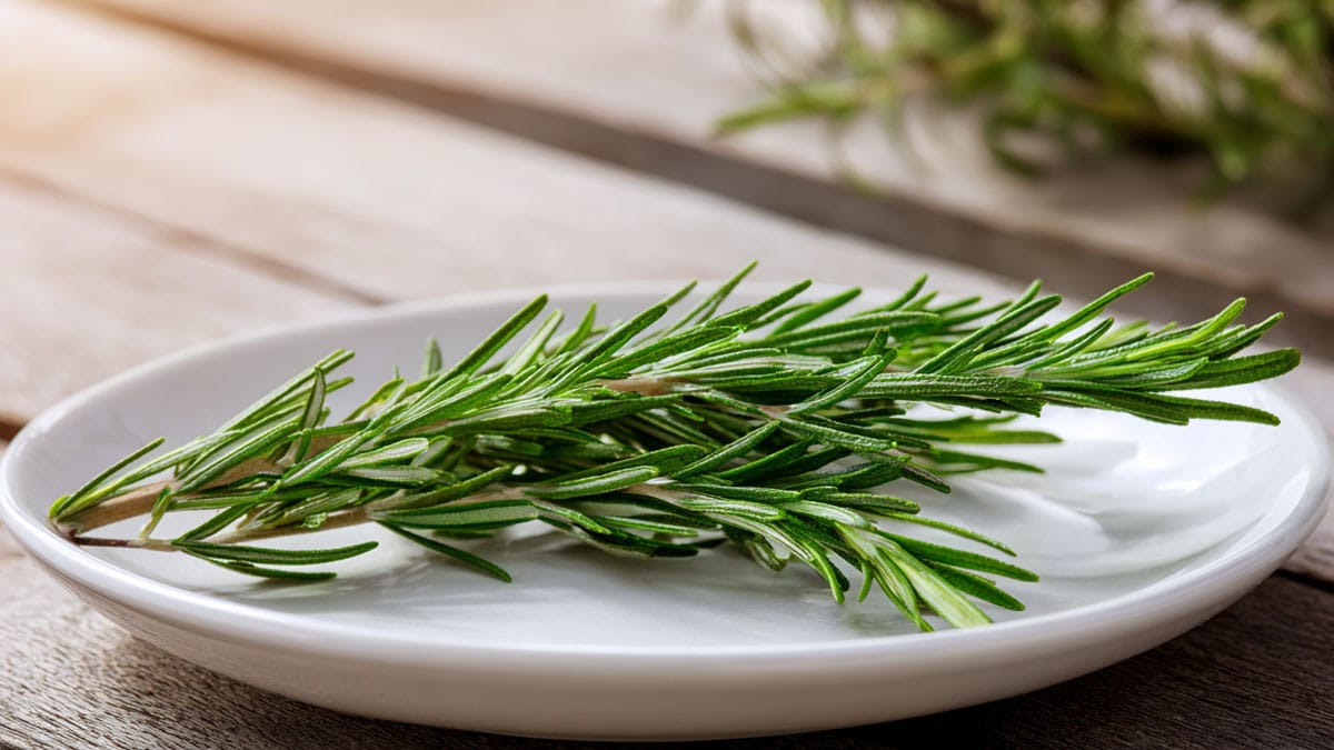 “소금·설탕 대신 향신료 한 꼬집”… 혈당·염증 다스리는 건강 식탁 전략