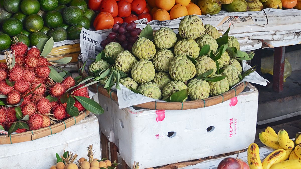 “단맛은 천국, 씨앗은 독”… 석가 열매 ‘슈가애플’의 두 얼굴