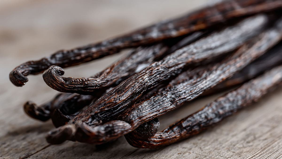 바닐라 스틱 바닐라 스틱