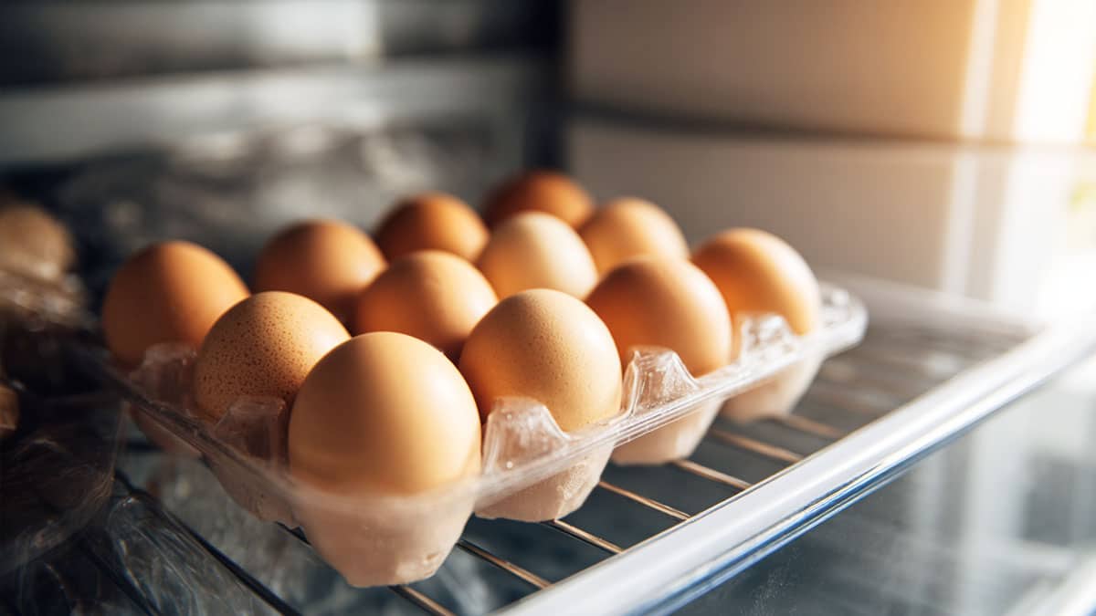 달걀 보관방법 달걀 보관방법