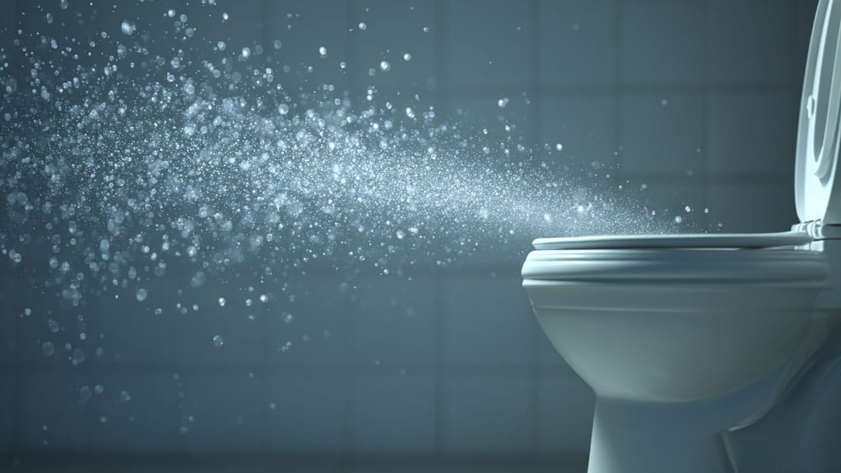 변기 세균 변기 세균