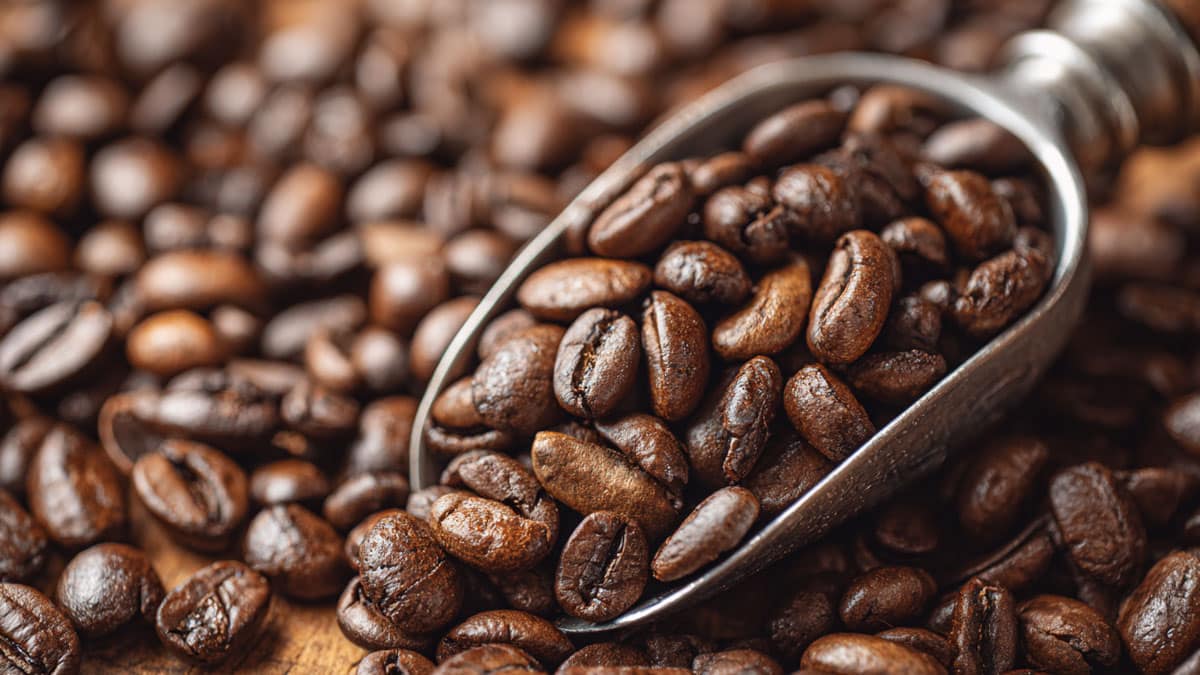 커피 원두 커피 원두