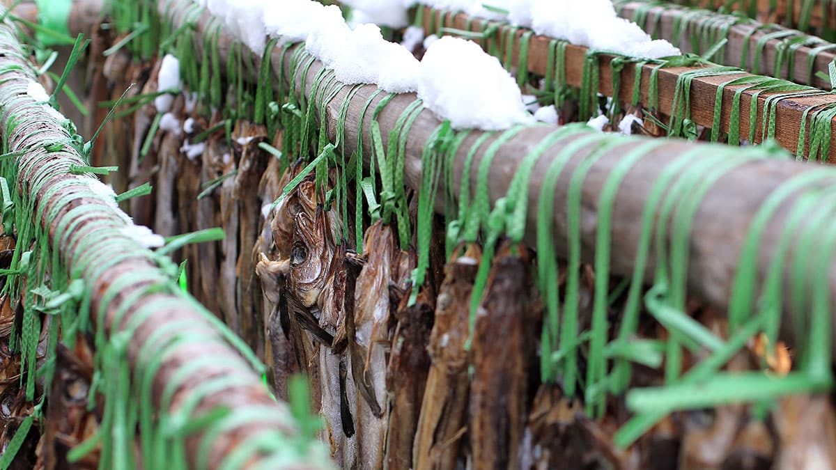 술 마신 다음 날, 의사들이 추천한 단 하나의 음식…’이 생선’이었다