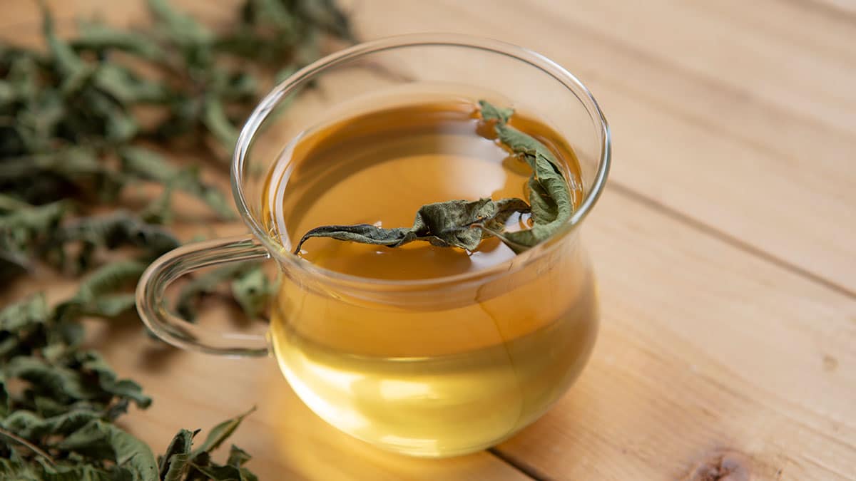 레몬밤 차 레몬밤 차