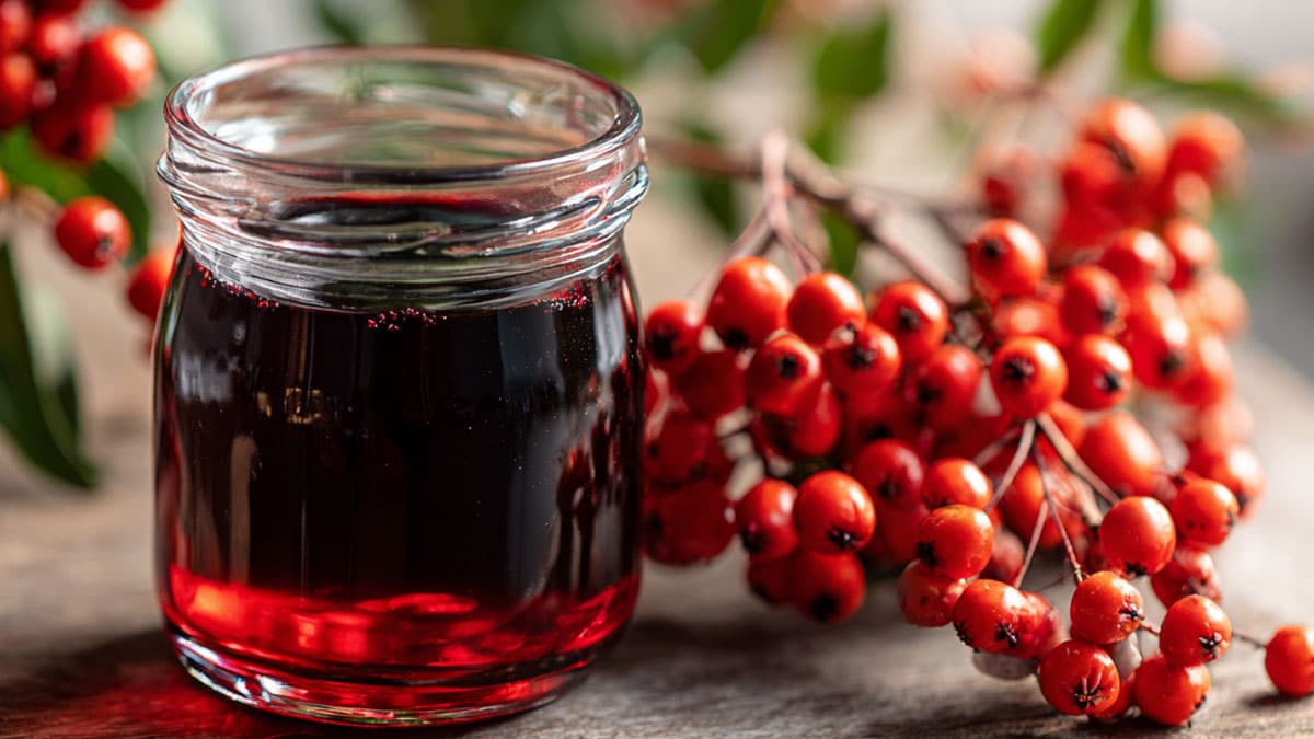 오미자청 오미자청