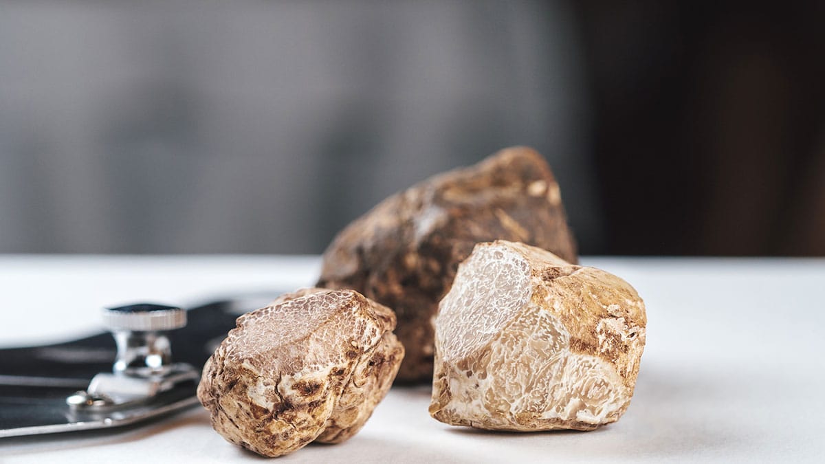 화이트 트러플