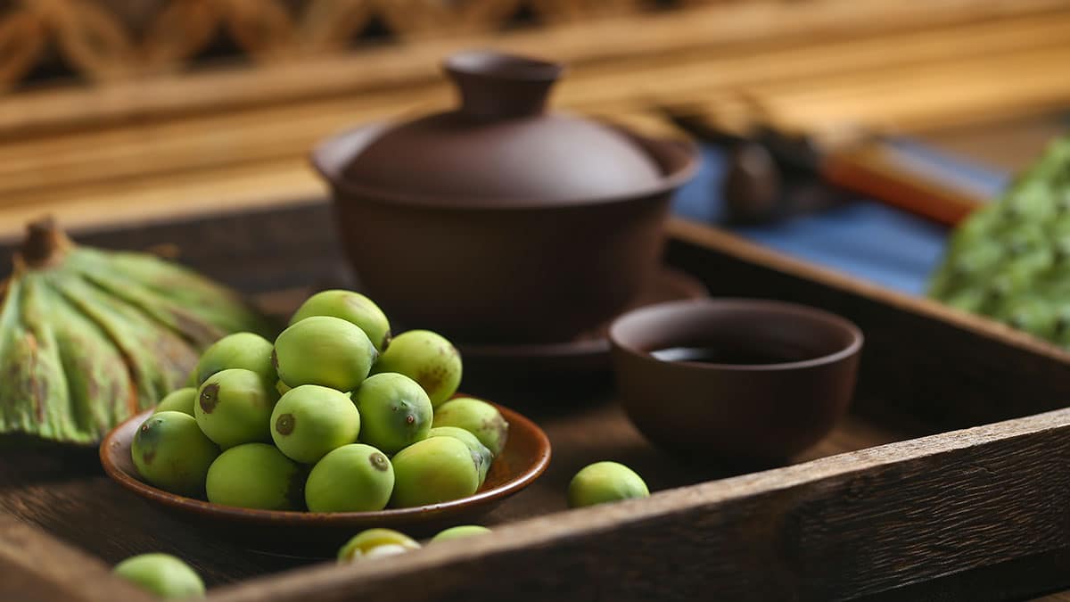 연자육 연자육