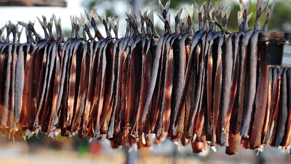 겨울에만 찾아오는 바다의 보약…오메가3·비타민D 응축된 겨울철 영양 음식