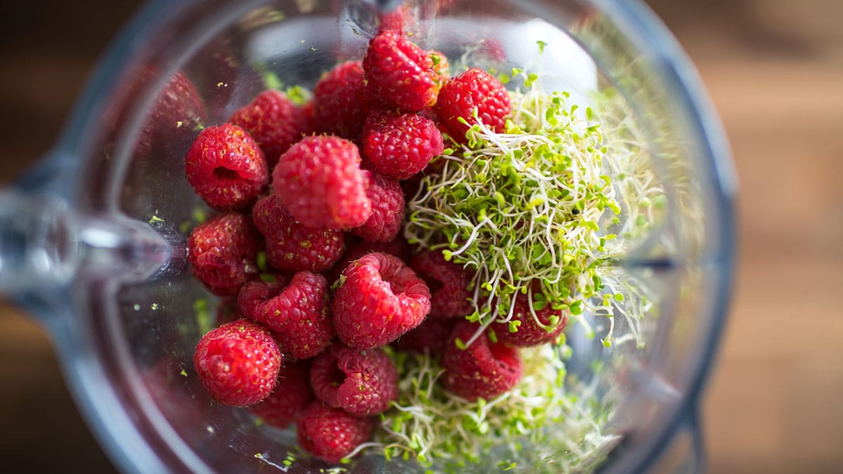 라즈베리, 브로콜리새싹