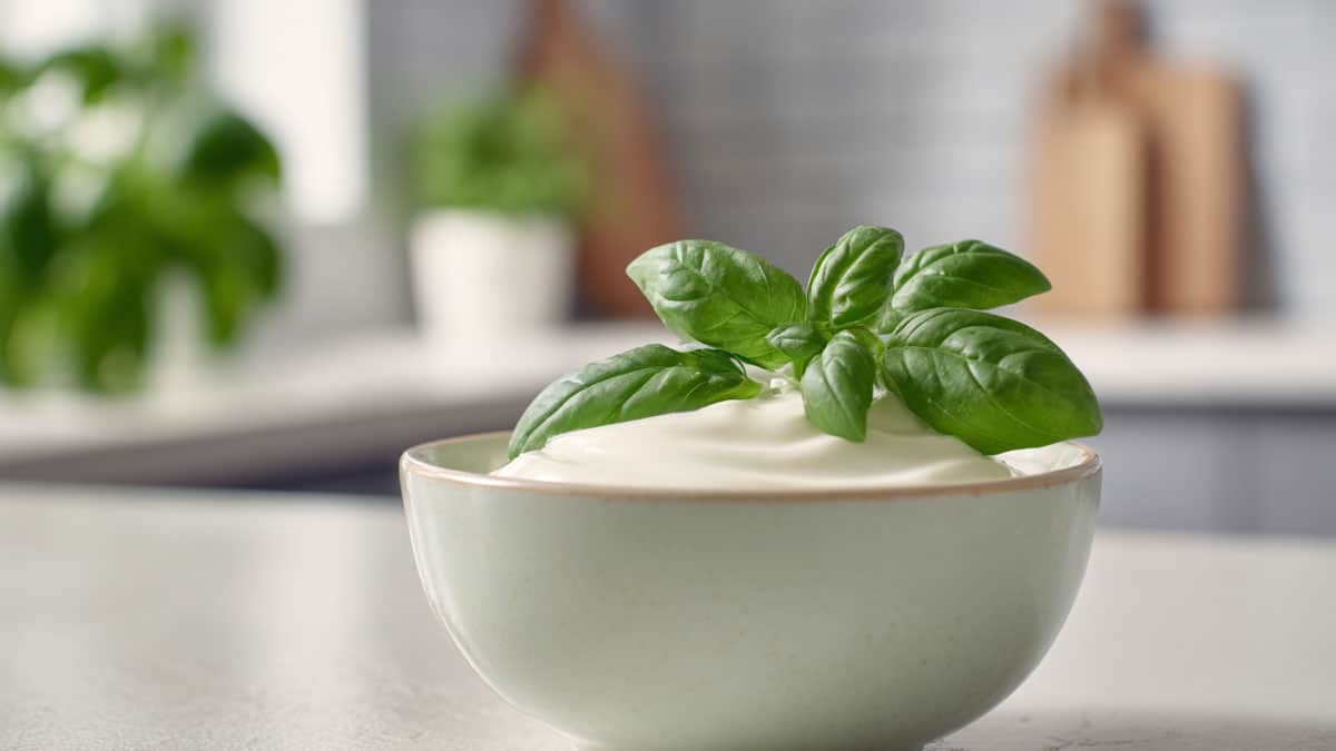 이제 입 냄새 고민 끝…치과의사가 골라준 ‘천연 구강 청결제’ 음식