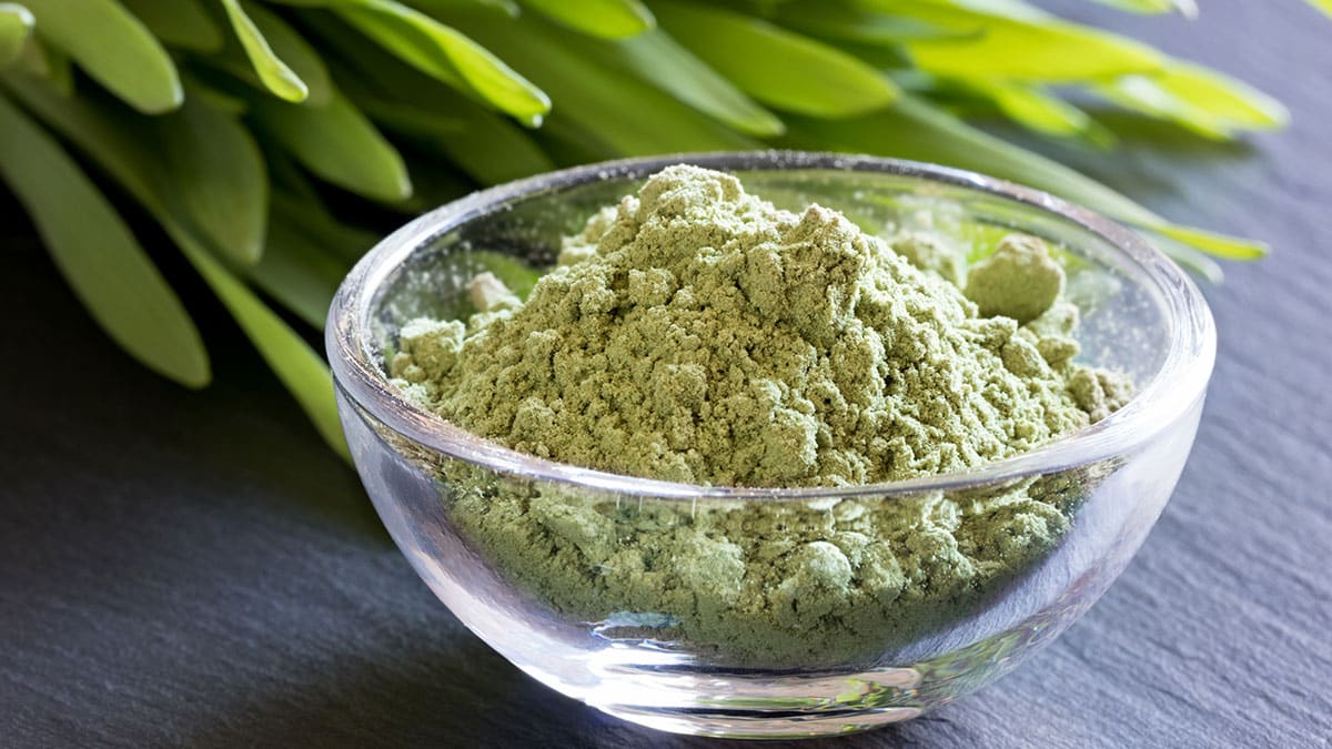 비싼 영양제 필요 없다…하루 1스푼이면 피곤함 줄여준다는 ‘이 가루’