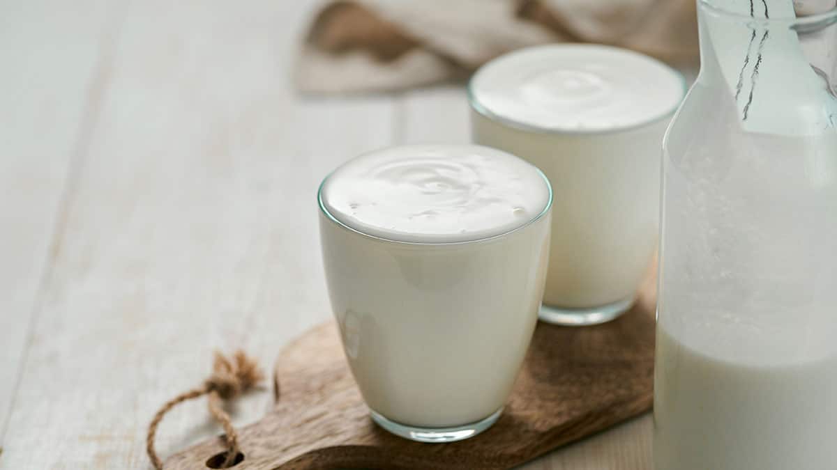 케피어 발효유 케피어 발효유