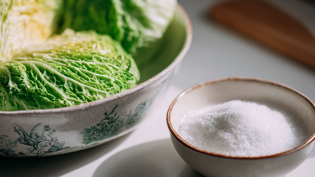 배추와 설탕 배추와 설탕