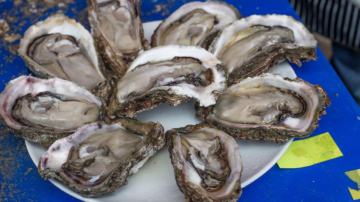 겨울만 되면 불안해지는 ‘굴’ 안전성…알고 보니 관건은 ‘원산지’가 아니다