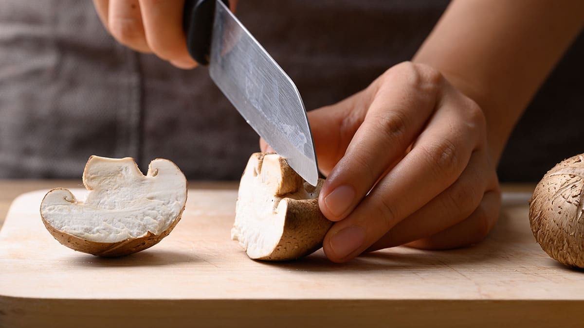 표고버섯 표고버섯