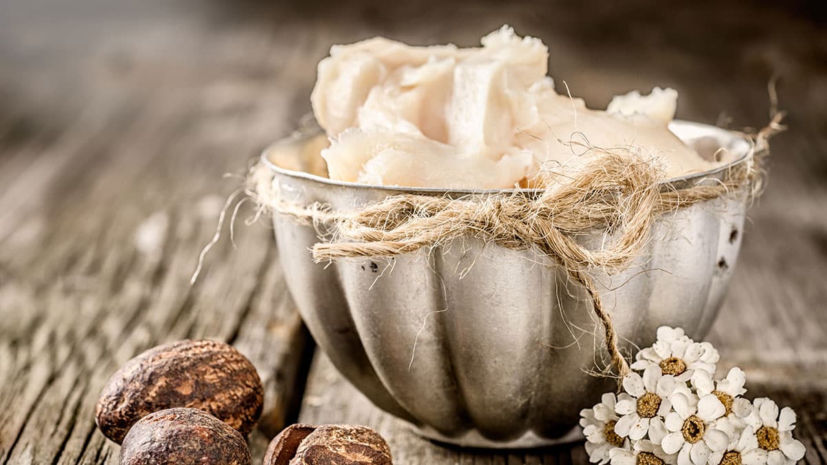 시어버터 시어버터