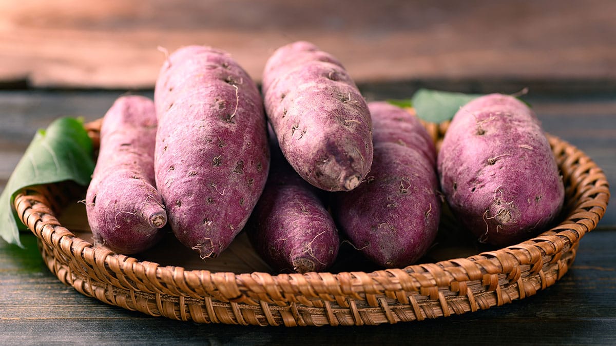 껍질째 먹어도 정말 괜찮을까?…고구마 제대로 먹으려면 ‘이것만’ 지키세요