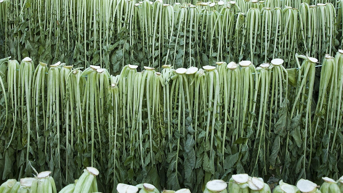 “칼슘 10배, 비타민 A 수십 배다” 말렸을 뿐인데 영양 폭발한 겨울 제철 ‘식재료’