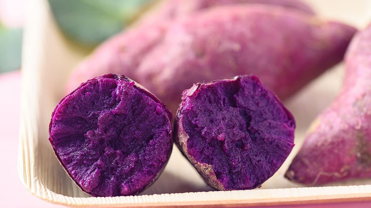 자색고구마 자색고구마