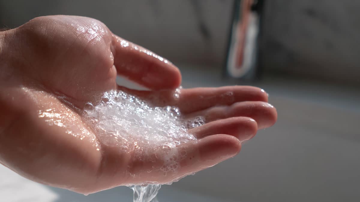 바디워시 바디워시