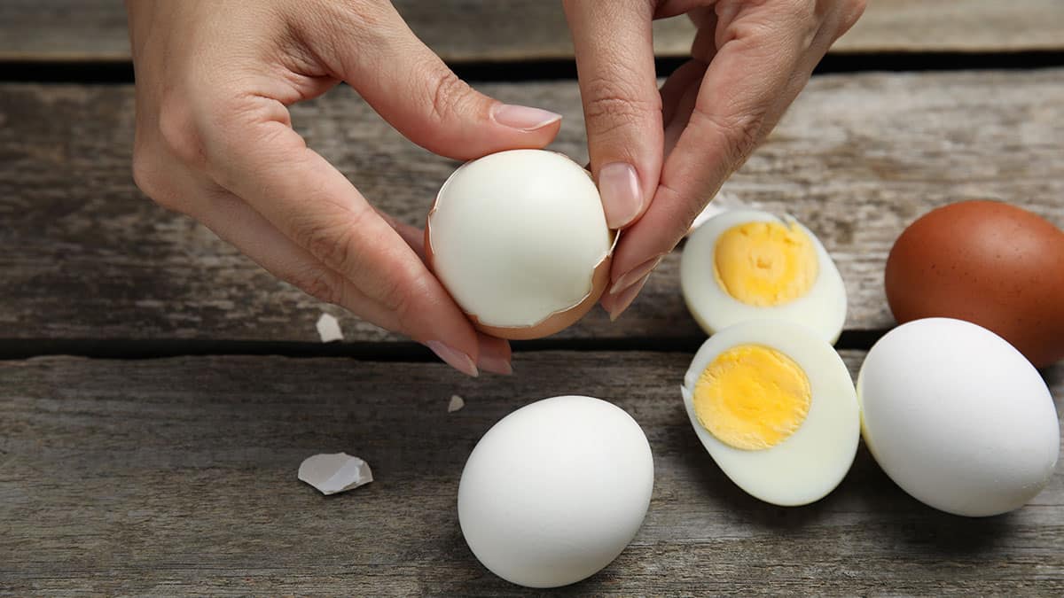 완숙 달걀 완숙 달걀