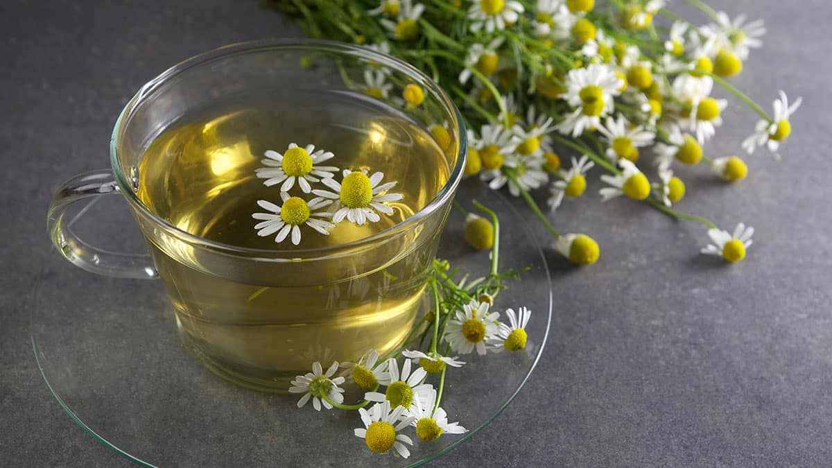 캐모마일 차