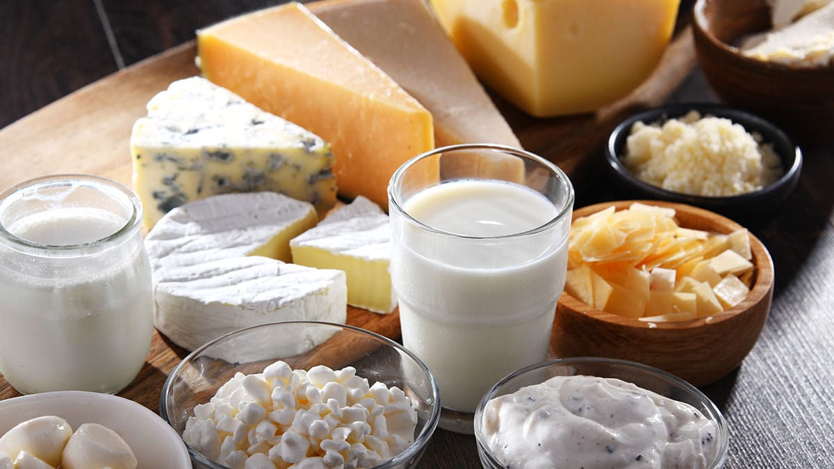치즈, 유제품