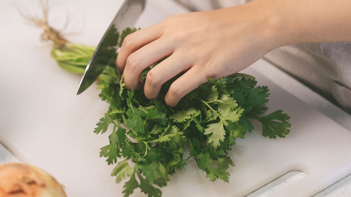 “도저히 못 먹어” 기피 1위 채소였는데…시금치보다 영양 높아 반전 효능