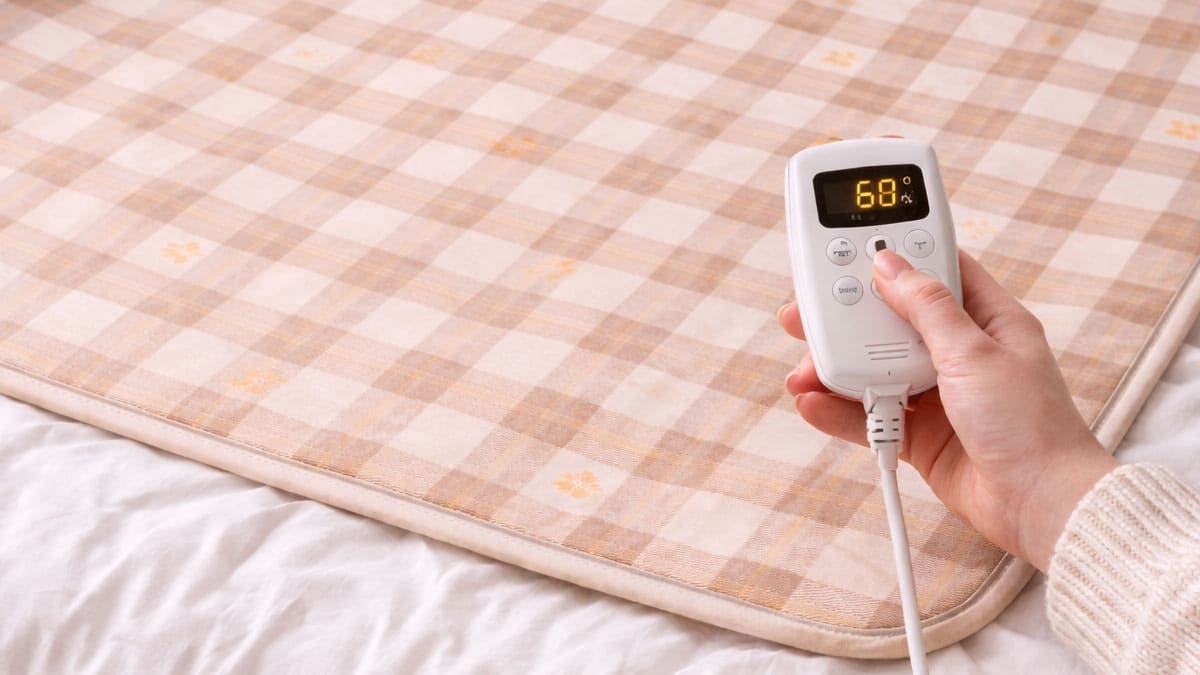 겨울 내내 안 빨면 진드기 천국…전기장판 ‘이렇게’만 하면 90%이상 제거 됩니다