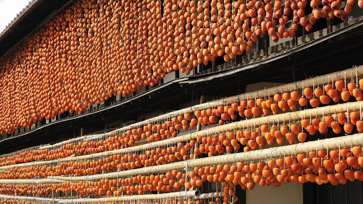 “이거 마약 아니야?” 해외 공항 검색대서 직원 4명이 둘러싸 캐묻던 겨울 간식의 ‘하얀 가루’