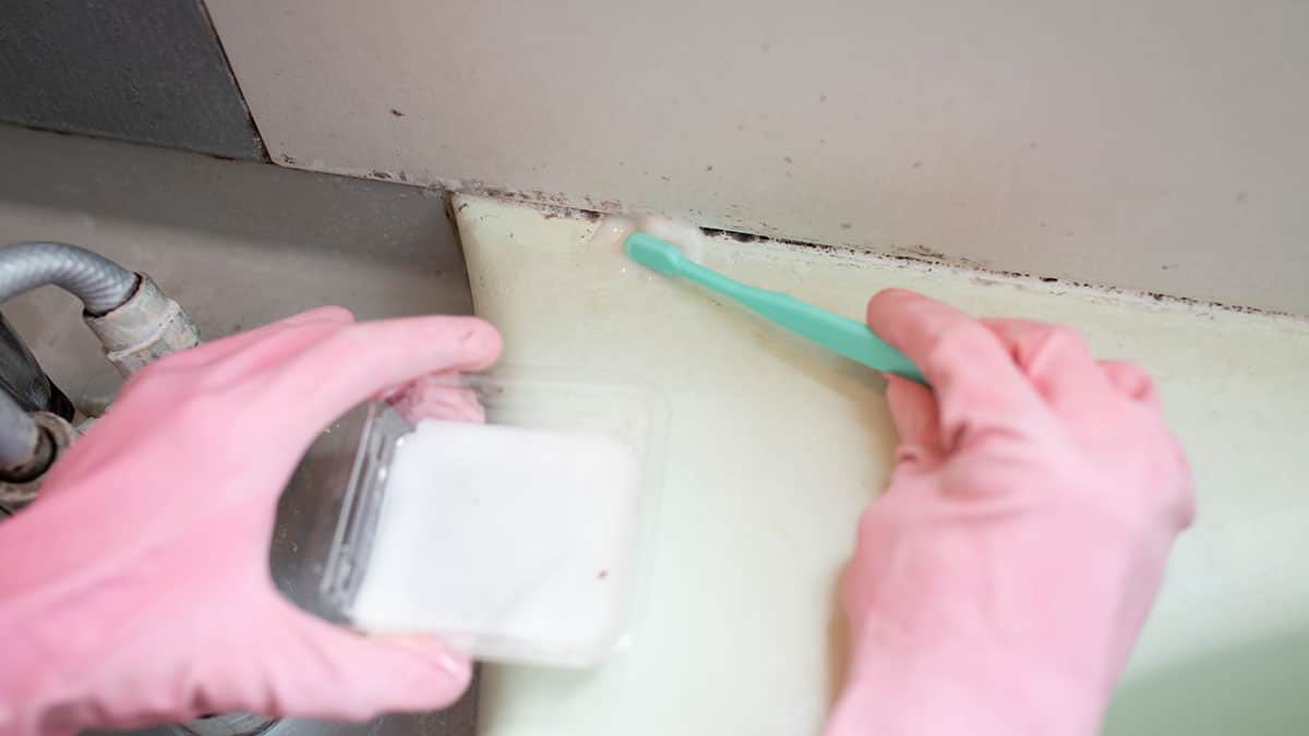 욕실 청소할 때 ‘이 세제’ 쓰면 안 됩니다…만능인 줄 알지만 오히려 곰팡이 5배 빨리 번식 시킵니다