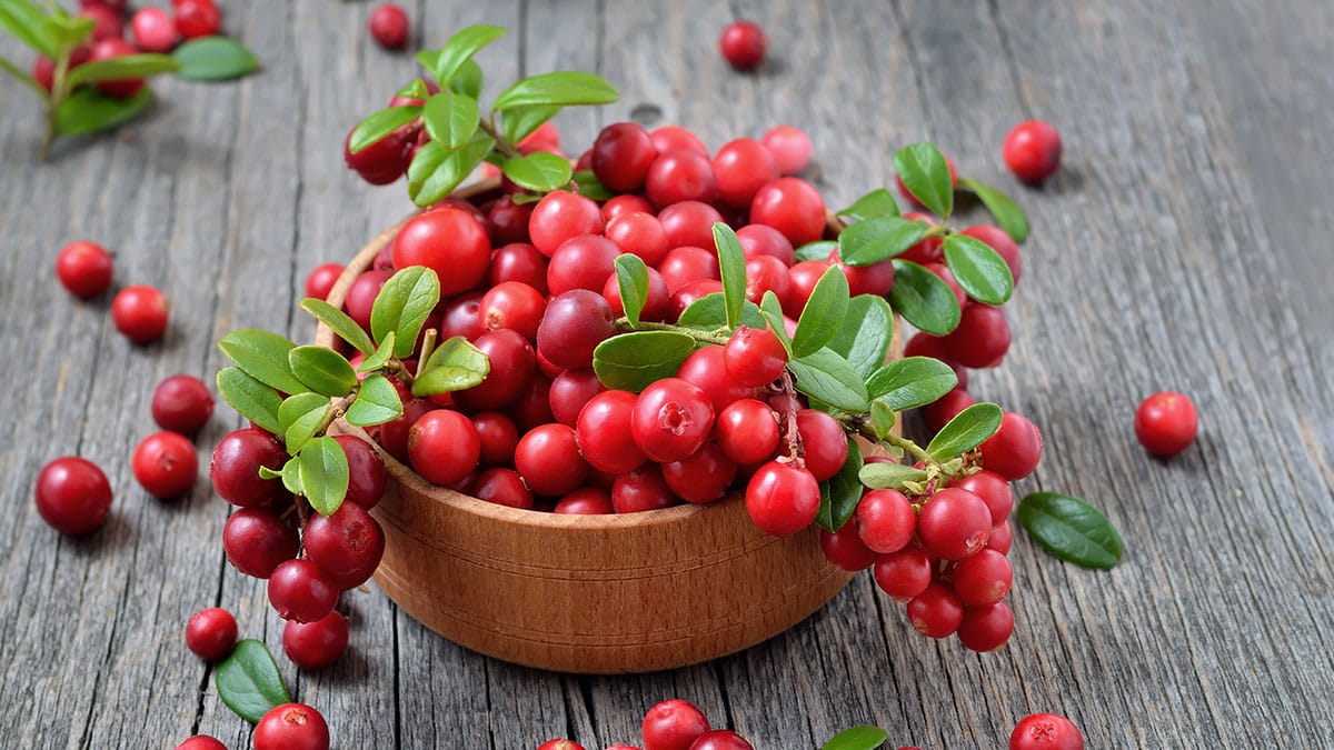 무려 9,000명을 대상으로 분석했다…요산 35%·요로 감염 50% 줄이고 심장 박동 지키는 ‘저칼륨 과일 4가지’