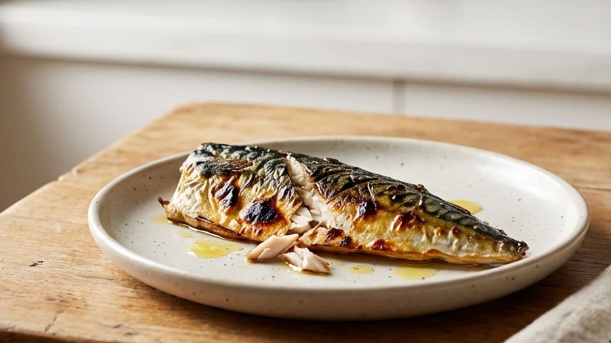 망치고등어 망치고등어