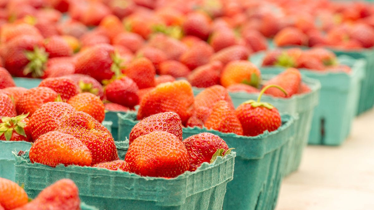 달콤한데 오히려 혈당이 안정된다?…전문가들이 먼저 추천한 ‘3가지 과일’ 조합
